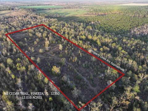 Vacant NE Cedar Trail Pinetta (Madison County) FL 32350