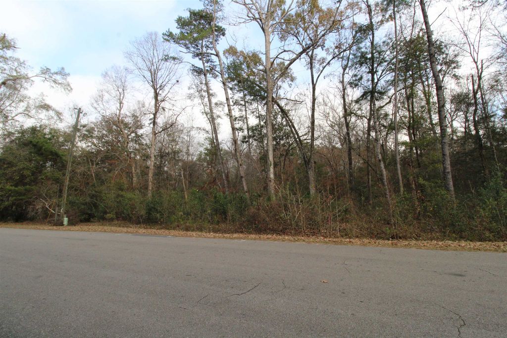 Photo of Lot 11 Block D RIVER PLANTATION Road, Crawfordville, FL 32327 (MLS # 396305)
