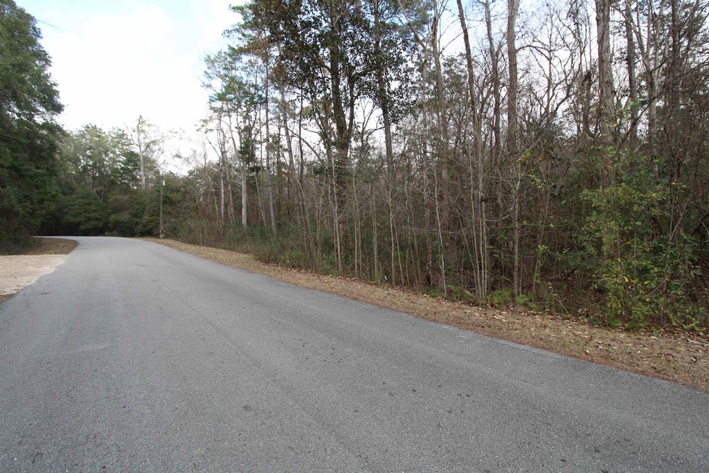 Photo of Lot 11 Block D RIVER PLANTATION Road, Crawfordville, FL 32327 (MLS # 396305)
