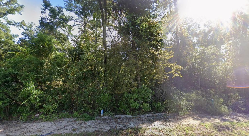 Photo of 44 CHICOPEE Road, Crawfordville, FL 32327 (MLS # 400402)