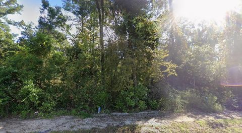 Photo of 44 CHICOPEE Road, Crawfordville, FL 32327 (MLS # 400402)