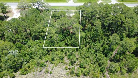 Tiny photo for Lot 4 & 5 Coastal Highway, Panacea, FL 32346 (MLS # 399361)