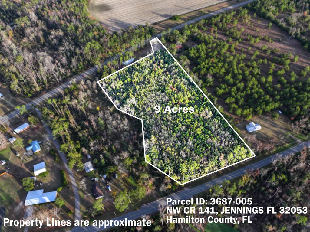 Photo of TBD NW 141 CR, Jennings, FL 32053 (MLS # 395360)