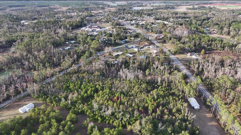 Photo of TBD NW 141 CR, Jennings, FL 32053 (MLS # 395360)