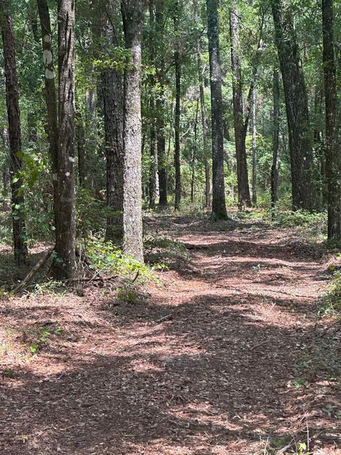 Tiny photo for 000 Reddick Lane, Tallahassee, FL 32311 (MLS # 376234)