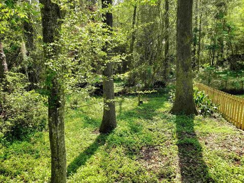 Tiny photo for 2179 Victory Garden Ln, Tallahassee, FL 32301 (MLS # 398061)