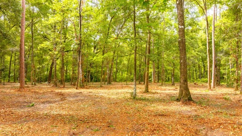 Tiny photo for 7005 Pisgah Church Road, Tallahassee, FL 32309 (MLS # 402483)