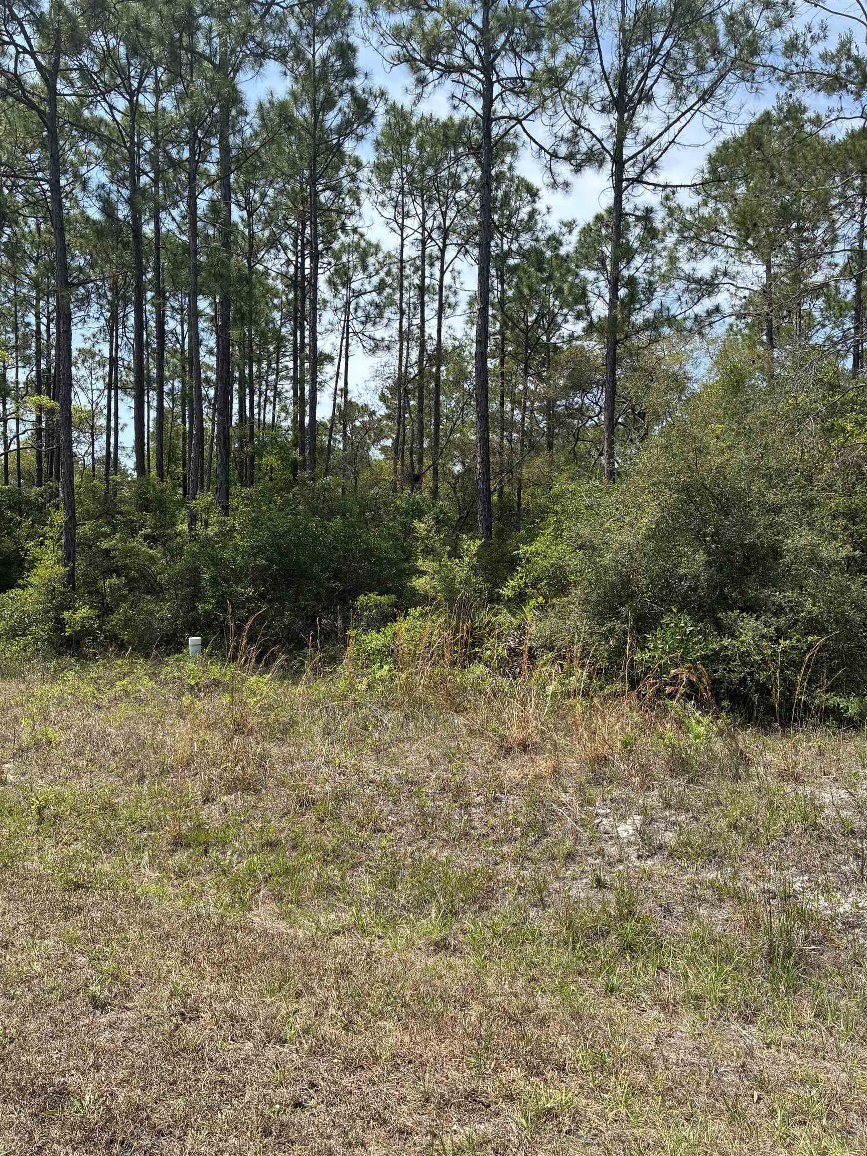 Lot 50 Whiteford Way Way