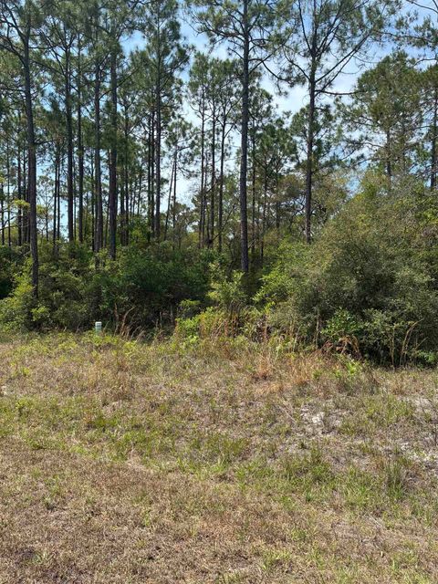 Tiny photo for Lot 50 Whiteford Way Way, Panacea, FL 32346 (MLS # 399274)