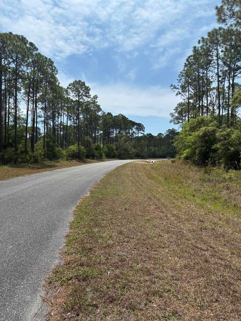 Tiny photo for Lot 50 Whiteford Way Way, Panacea, FL 32346 (MLS # 399274)