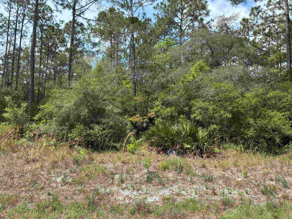 Photo of Lot 50 Whiteford Way Way, Panacea, FL 32346 (MLS # 399274)