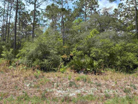 Photo of Lot 50 Whiteford Way Way, Panacea, FL 32346 (MLS # 399274)