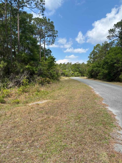 Tiny photo for Lot 50 Whiteford Way Way, Panacea, FL 32346 (MLS # 399274)