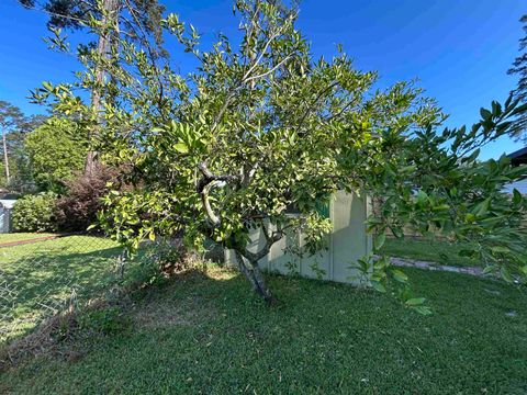 Tiny photo for 522 Collins Drive, Tallahassee, FL 32303 (MLS # 398716)