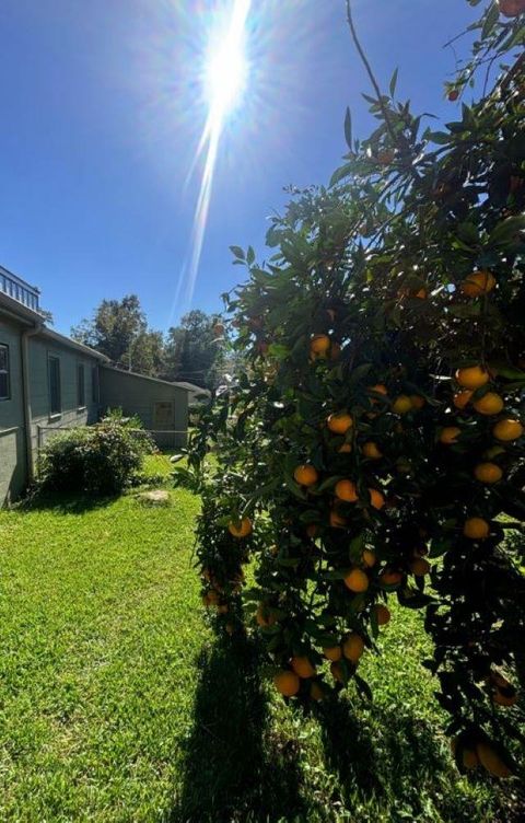 Tiny photo for 522 Collins Drive, Tallahassee, FL 32303 (MLS # 398716)