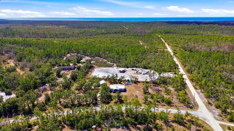 Tiny photo for 4729 STRICKLAND LANDING Boulevard, Perry, FL 32348 (MLS # 396860)