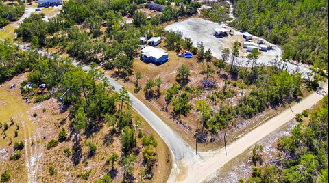 Tiny photo for 4729 STRICKLAND LANDING Boulevard, Perry, FL 32348 (MLS # 396860)