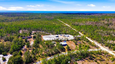 Tiny photo for 4729 STRICKLAND LANDING Boulevard, Perry, FL 32348 (MLS # 396860)