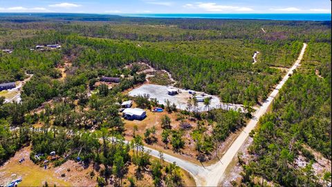 Tiny photo for 4729 STRICKLAND LANDING Boulevard, Perry, FL 32348 (MLS # 396860)