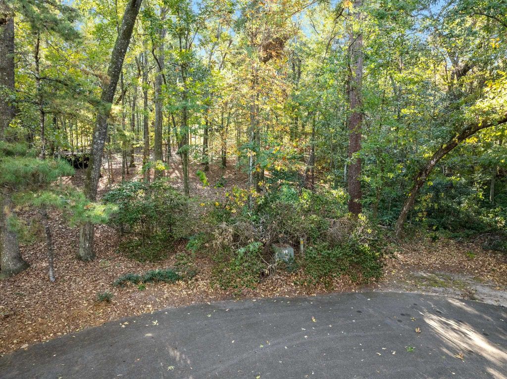 Photo of Live Oak Plantation Road, Tallahassee, FL 32312 (MLS # 393690)
