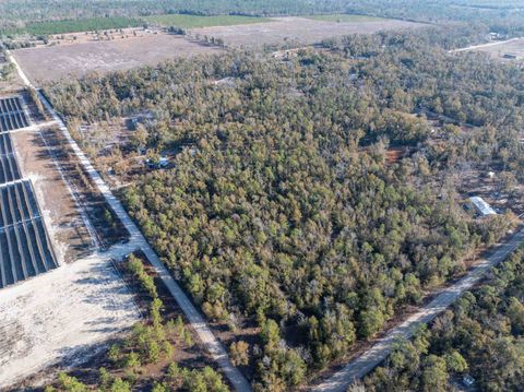 Tiny photo for Vacant 193rd Road, Live Oak, FL 32060 (MLS # 396180)