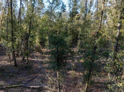 Tiny photo for Vacant 193rd Road, Live Oak, FL 32060 (MLS # 396180)
