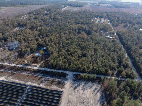 Tiny photo for Vacant 193rd Road, Live Oak, FL 32060 (MLS # 396180)