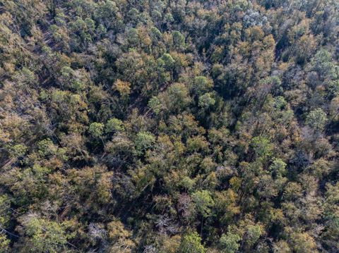 Tiny photo for Vacant 193rd Road, Live Oak, FL 32060 (MLS # 396180)