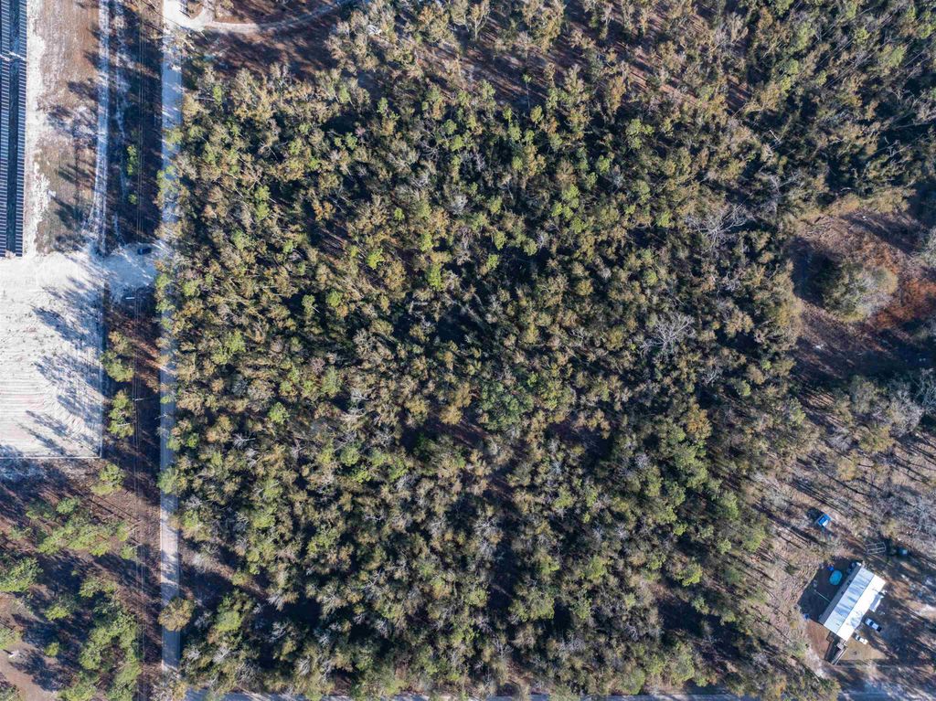 Photo of Vacant 193rd Road, Live Oak, FL 32060 (MLS # 396180)