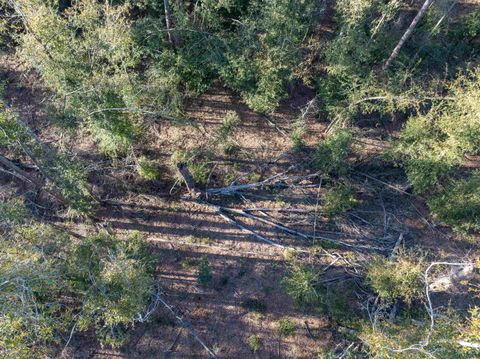 Tiny photo for Vacant 193rd Road, Live Oak, FL 32060 (MLS # 396180)