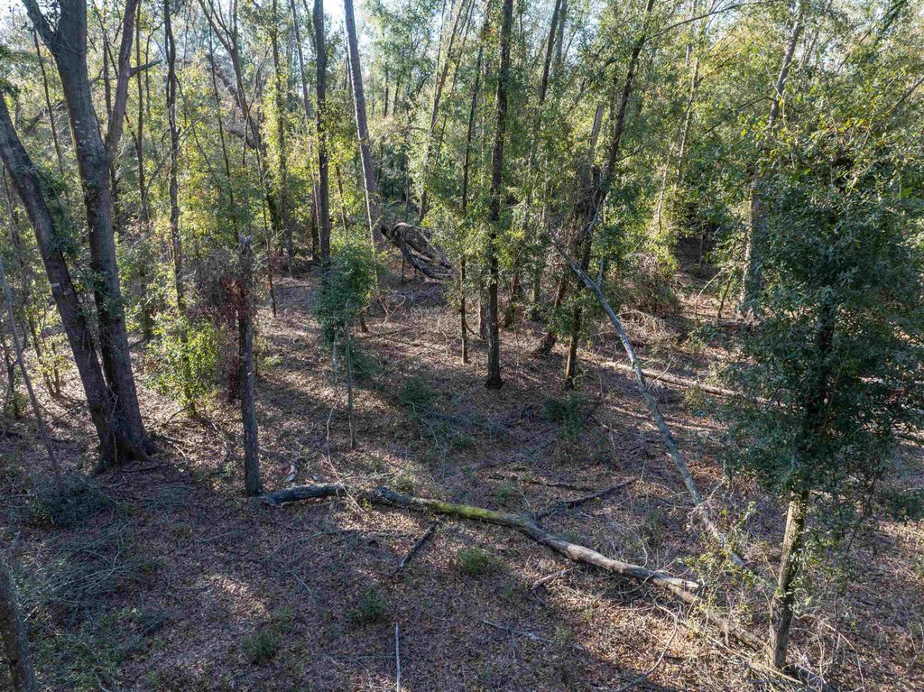 Photo of Vacant 193rd Road, Live Oak, FL 32060 (MLS # 396180)