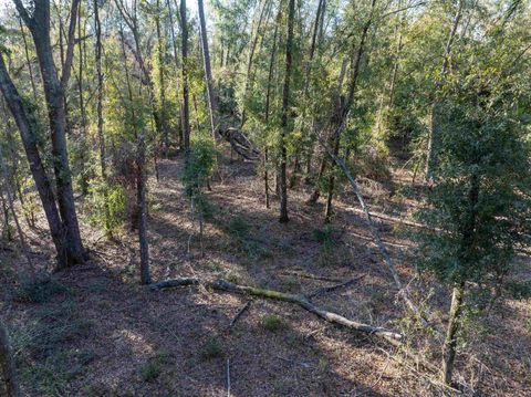 Tiny photo for Vacant 193rd Road, Live Oak, FL 32060 (MLS # 396180)