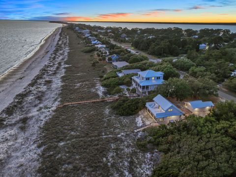 A home in ALLIGATOR POINT