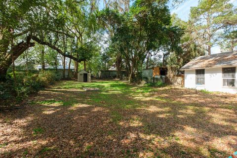 Tiny photo for 1310 N Bronough Street, Tallahassee, FL 32303 (MLS # 396564)