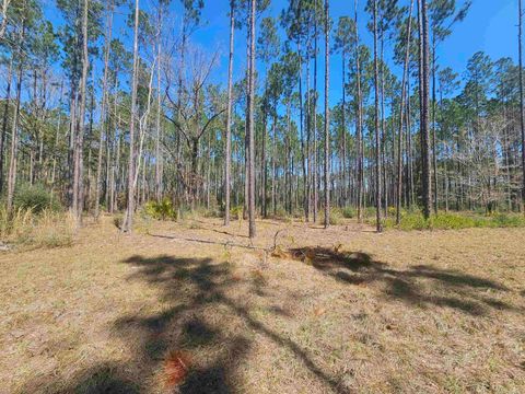 Tiny photo for 000 Hidden Horse Way, Tallahassee, FL 32305 (MLS # 382899)
