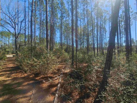 Tiny photo for 000 Hidden Horse Way, Tallahassee, FL 32305 (MLS # 382899)