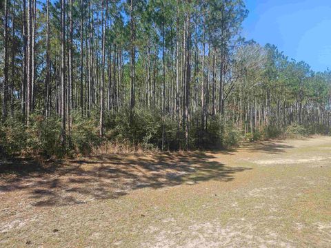 Tiny photo for 000 Hidden Horse Way, Tallahassee, FL 32305 (MLS # 382899)