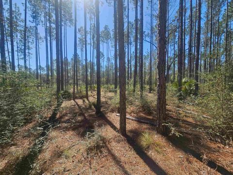 Tiny photo for 000 Hidden Horse Way, Tallahassee, FL 32305 (MLS # 382899)