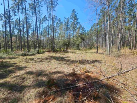 Tiny photo for 000 Hidden Horse Way, Tallahassee, FL 32305 (MLS # 382899)