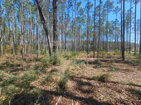 Tiny photo for 000 Hidden Horse Way, Tallahassee, FL 32305 (MLS # 382899)