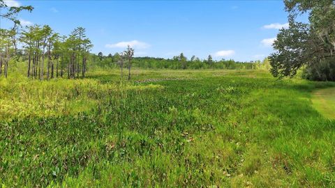 Tiny photo for 7737 Deepwood Trail, Tallahassee, FL 32317 (MLS # 395797)