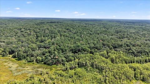 Tiny photo for 7737 Deepwood Trail, Tallahassee, FL 32317 (MLS # 395797)