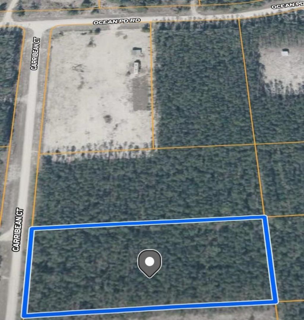 Photo of 0 Caribeean Court, Perry, FL 32348 (MLS # 392557)