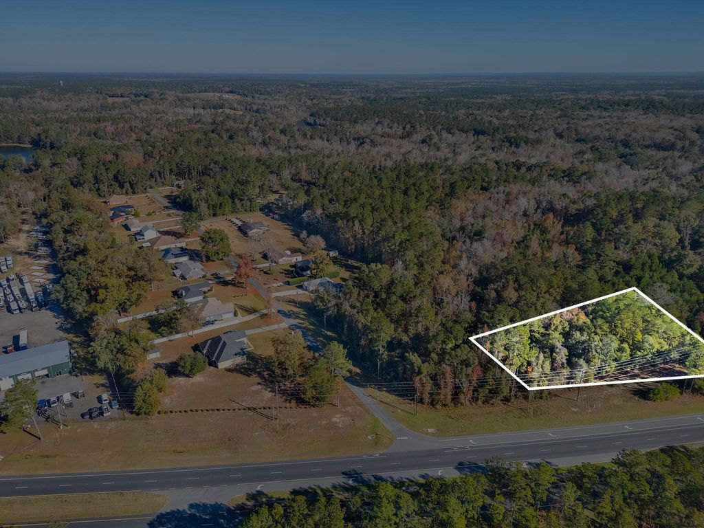 Photo of 00 Blue Star Highway, Midway, FL 32343 (MLS # 395850)