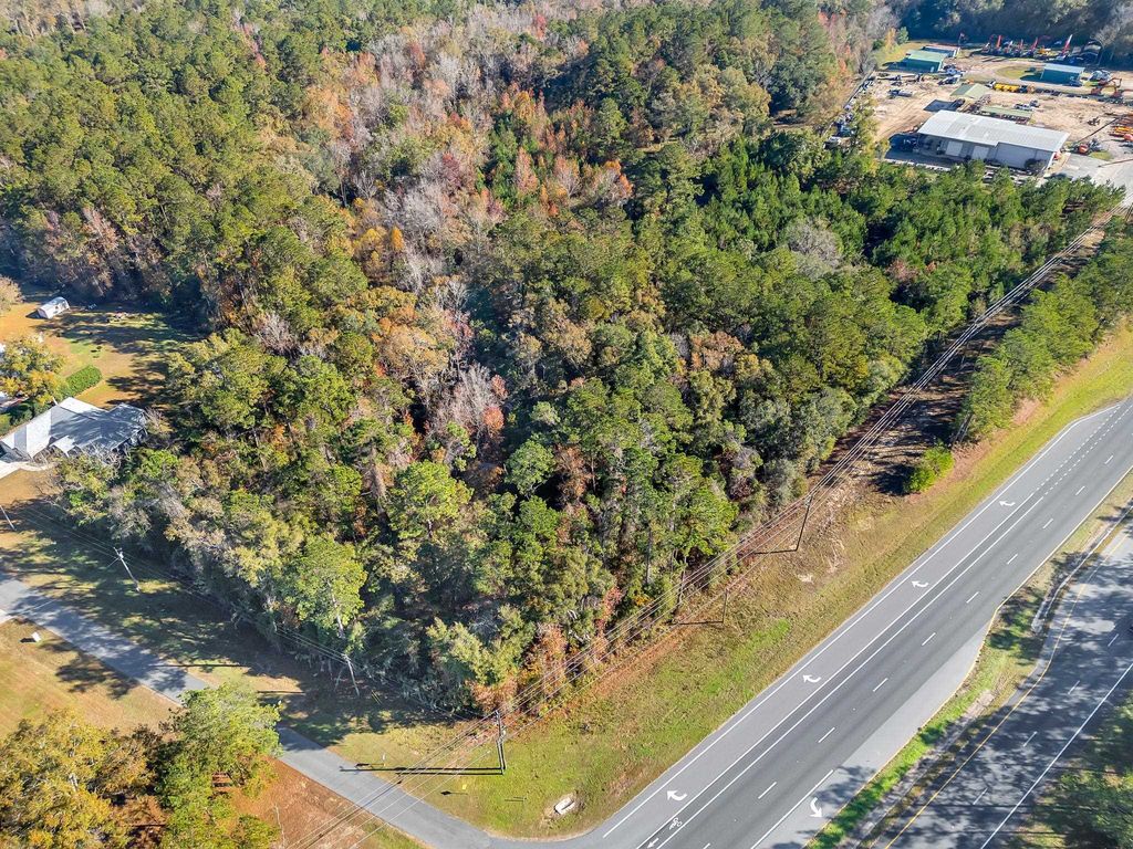 Photo of 00 Blue Star Highway, Midway, FL 32343 (MLS # 395850)
