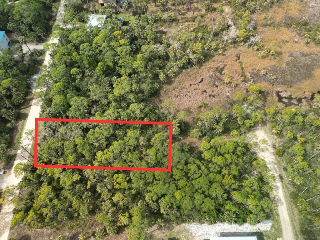 Photo of 681 E Pine Avenue, St George Islan, FL 32328 (MLS # 397419)