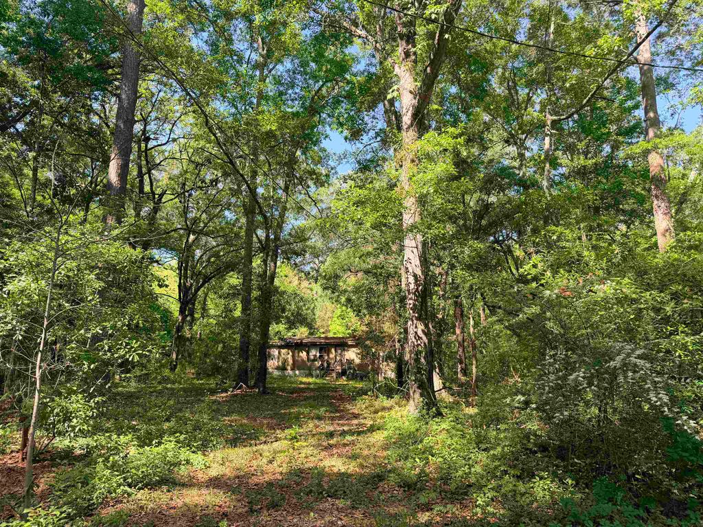 Photo of 6984 Red Gum Court, Tallahassee, FL 32303 (MLS # 399117)