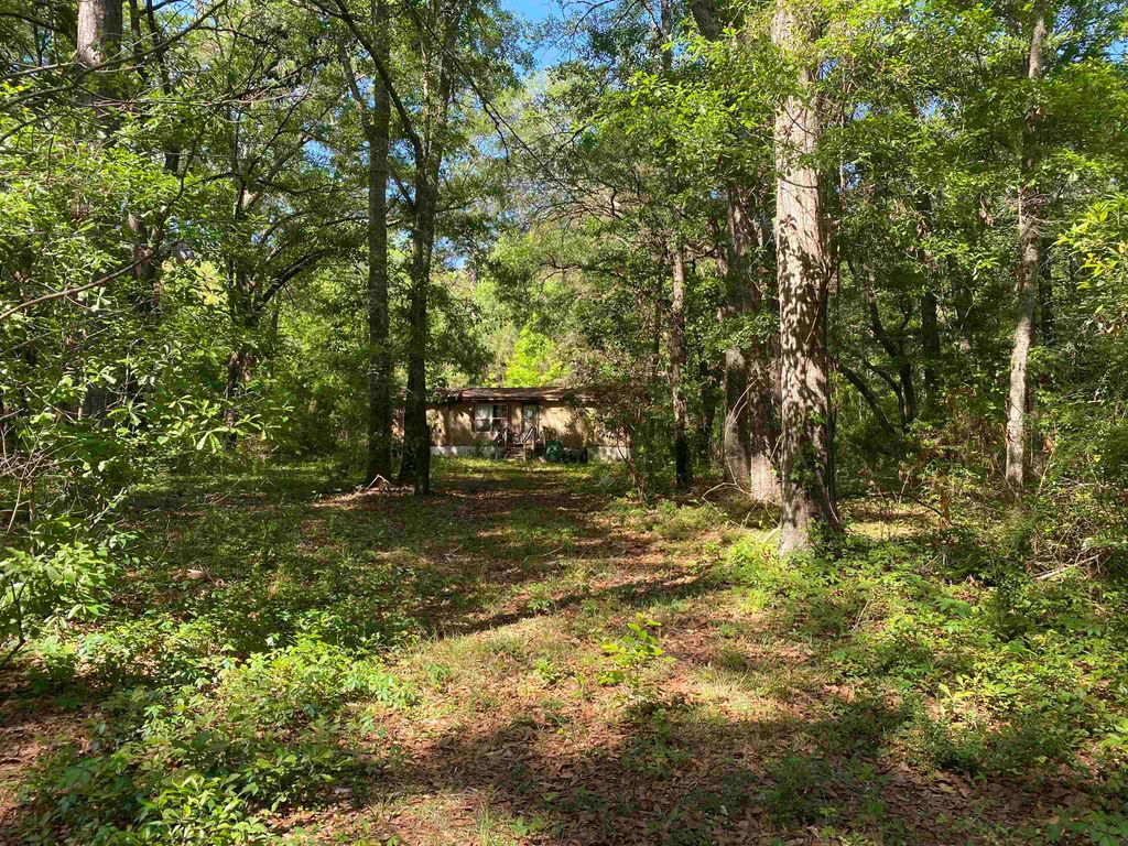 Photo of 6984 Red Gum Court, Tallahassee, FL 32303 (MLS # 399117)