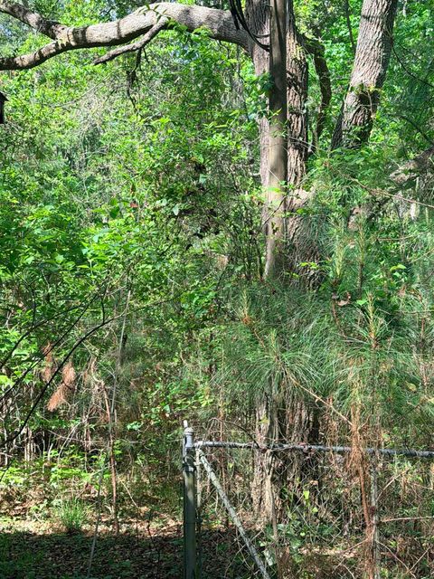 Tiny photo for 6984 Red Gum Court, Tallahassee, FL 32303 (MLS # 399117)