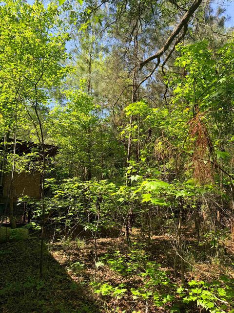 Tiny photo for 6984 Red Gum Court, Tallahassee, FL 32303 (MLS # 399117)